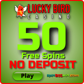 50 free spins without deposit in Lucky Bird Casino is on this photo.