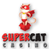 Super Cat Casino png logo for spinBIGwin.com is in the photo
