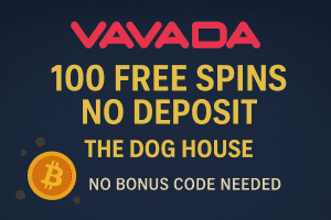 Vavada Casino 100 free spins no-deposit bonus banner for The Dog House slot – crypto gambling 2025