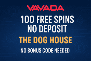 Vavada — 100 Free Spins No Deposit on The Dog House Vavada crypto casino banner offering 100 free spins without deposit on The Dog House slot and rapid Bitcoin payouts.